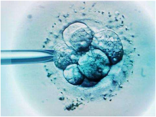 试管婴儿囊胚移植后注意事项有些什么？