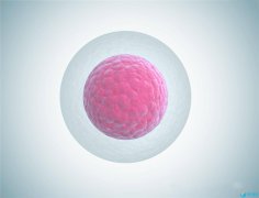 排卵异常可以试管婴儿助孕吗？